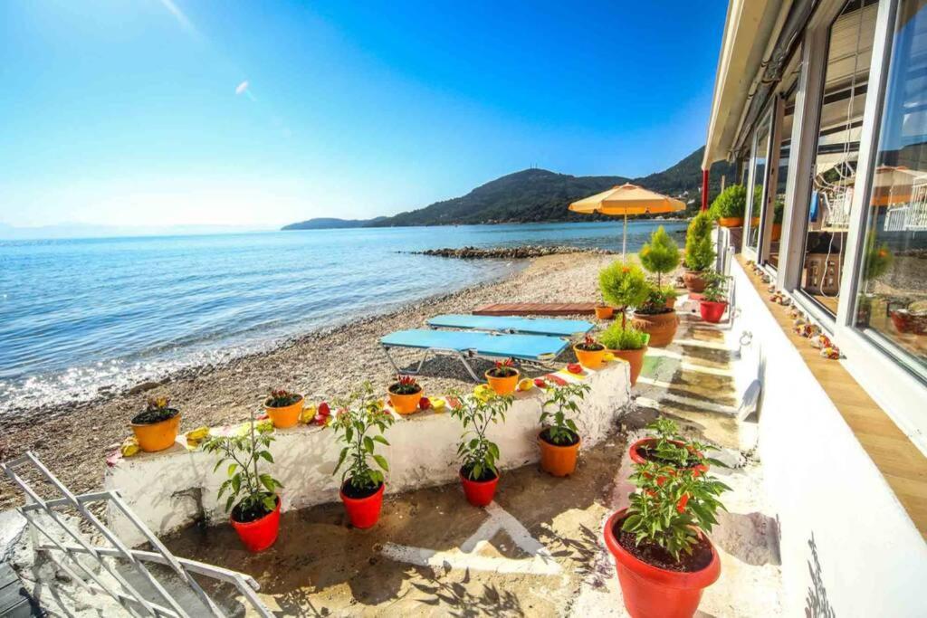 Elena Beach Apartment Mesongi Exterior photo